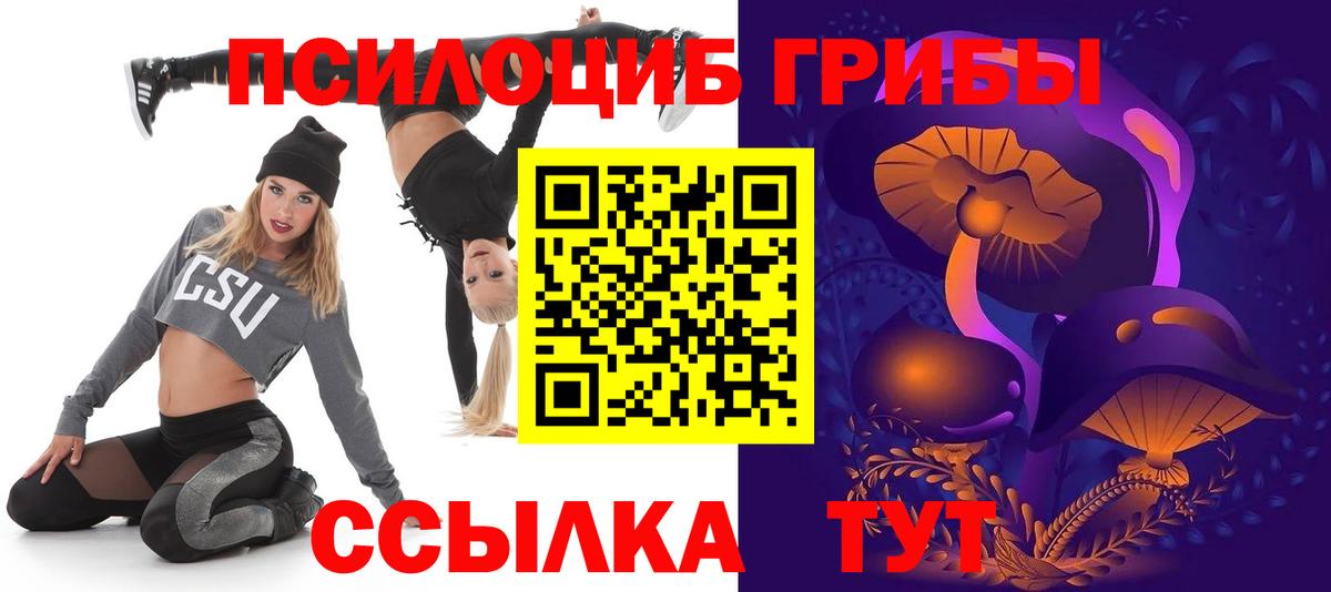 Псилоцибиновые грибы Psilocybe Аргун